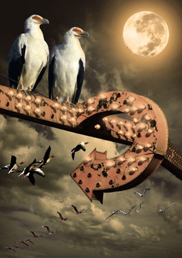 Creation of Fantasy Scene_Birdz: Step 5